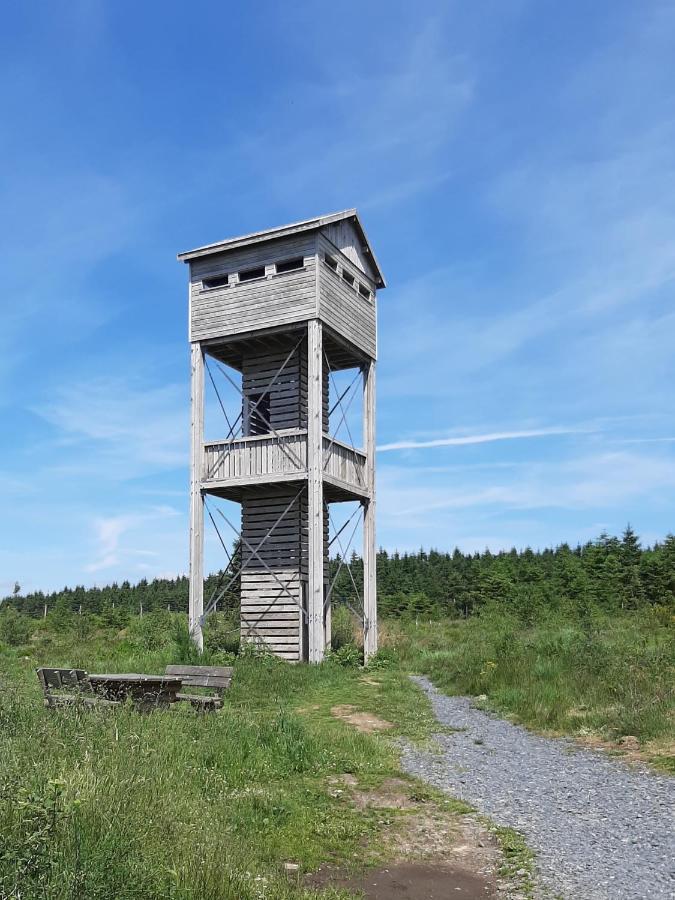 La Cabane De Tic Et Tac Hotel Tailles Esterno foto